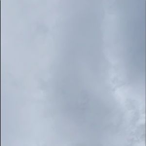 Meet your Posher, Donovan